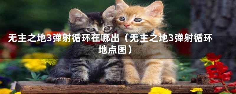 无主之地3弹射循环在哪出(无主之地3弹射循环地点图)