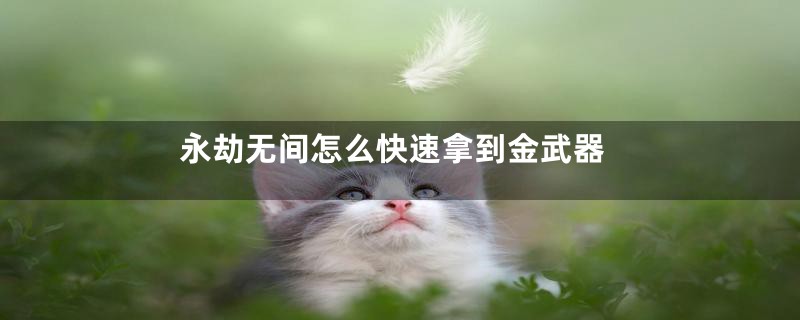 永劫无间怎么快速拿到金武器