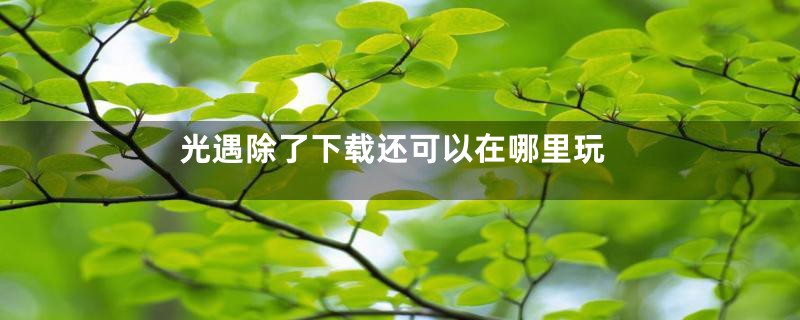 光遇除了下载还可以在哪里玩