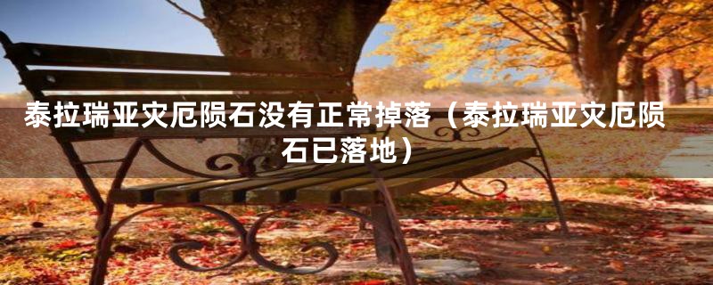 泰拉瑞亚灾厄陨石没有正常掉落(泰拉瑞亚灾厄陨石已落地)