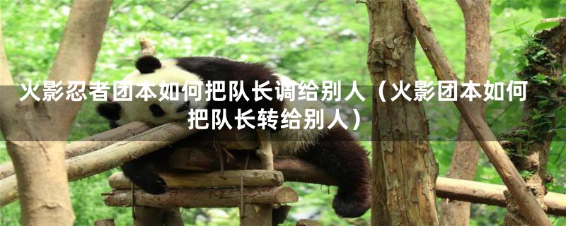 火影忍者团本如何把队长调给别人（火影团本如何把队长转给别人）