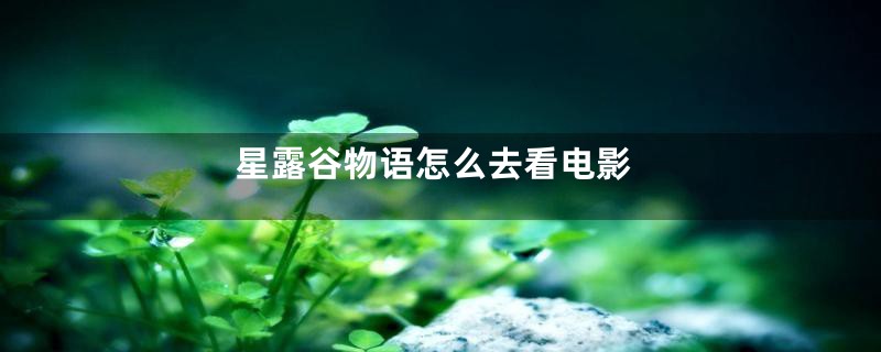 星露谷物语怎么去看电影