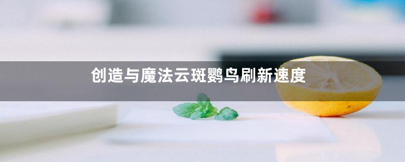 创造与魔法云斑鹦鸟刷新速度