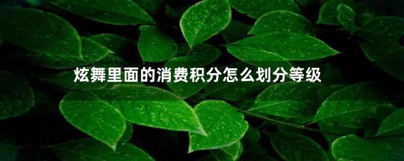 炫舞里面的消费积分怎么划分等级