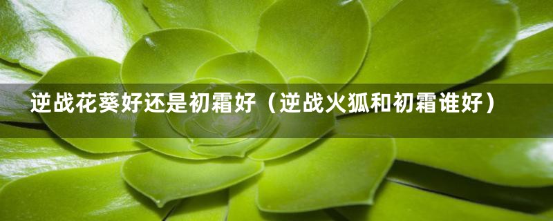 逆战花葵好还是初霜好(逆战火狐和初霜谁好)