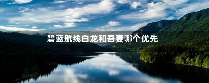 碧蓝航线白龙和吾妻哪个优先