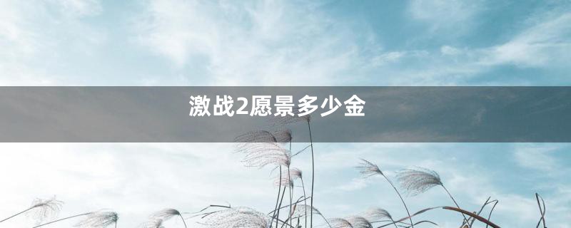 激战2愿景多少金