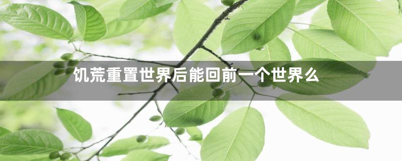 饥荒重置世界后能回前一个世界么