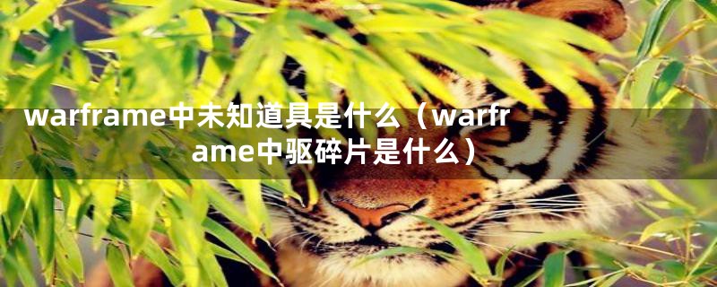 warframe中未知道具是什么（warframe中驱碎片是什么）