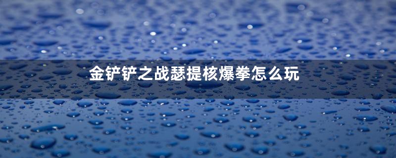 金铲铲之战瑟提核爆拳怎么玩