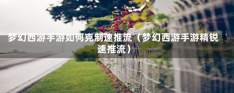 梦幻西游手游如何克制速推流(梦幻西游手游精锐速推流)