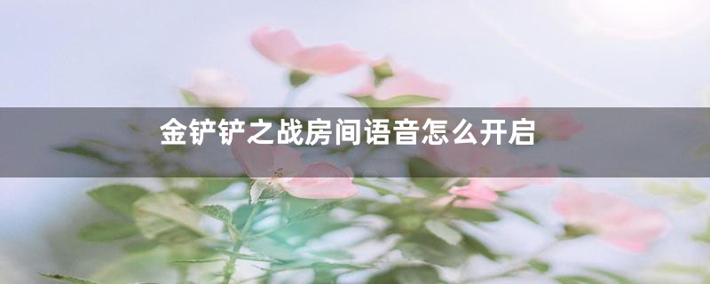 金铲铲之战房间语音怎么开启