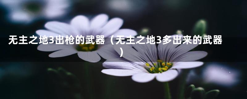 无主之地3出枪的武器（无主之地3多出来的武器）