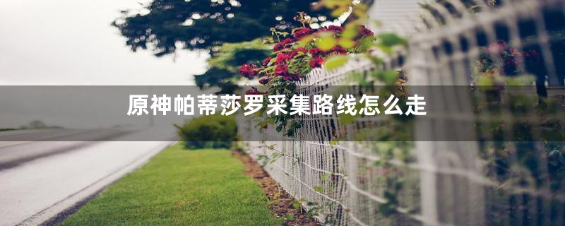 原神帕蒂莎罗采集路线怎么走