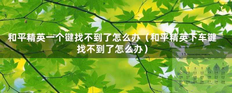 和平精英一个键找不到了怎么办(和平精英下车键找不到了怎么办)