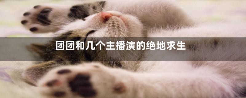 团团和几个主播演的绝地求生