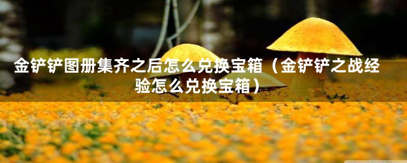 金铲铲图册集齐之后怎么兑换宝箱（金铲铲之战经验怎么兑换宝箱）