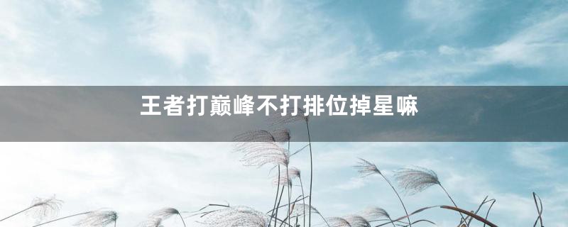 王者打巅峰不打排位掉星嘛