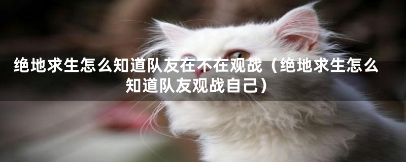 绝地求生怎么知道队友在不在观战（绝地求生怎么知道队友观战自己）