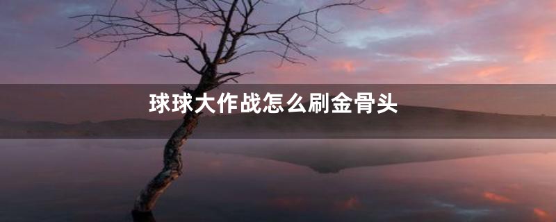 球球大作战怎么刷金骨头