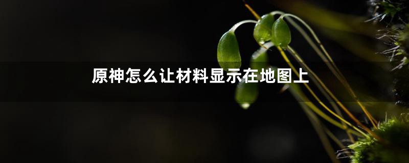 原神怎么让材料显示在地图上