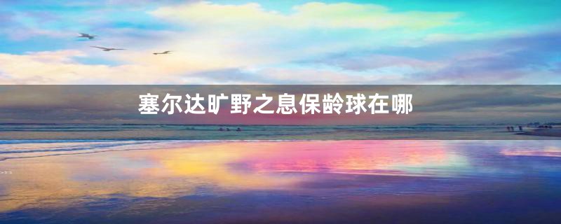 塞尔达旷野之息保龄球在哪