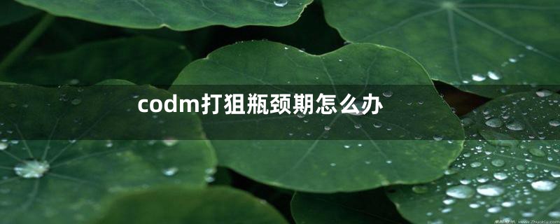codm打狙瓶颈期怎么办