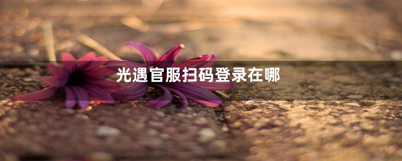 光遇官服扫码登录在哪
