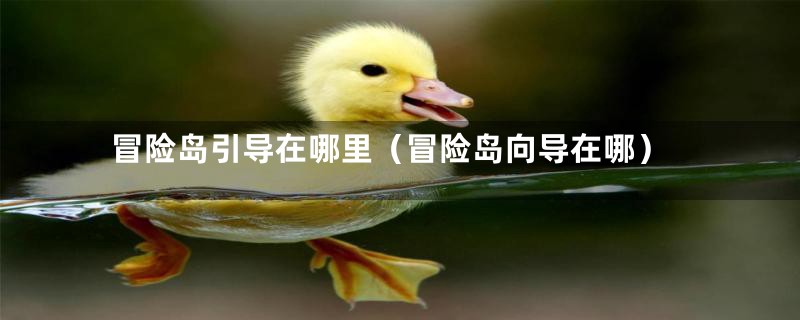 冒险岛引导在哪里(冒险岛向导在哪)