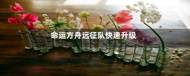 命运方舟远征队快速升级