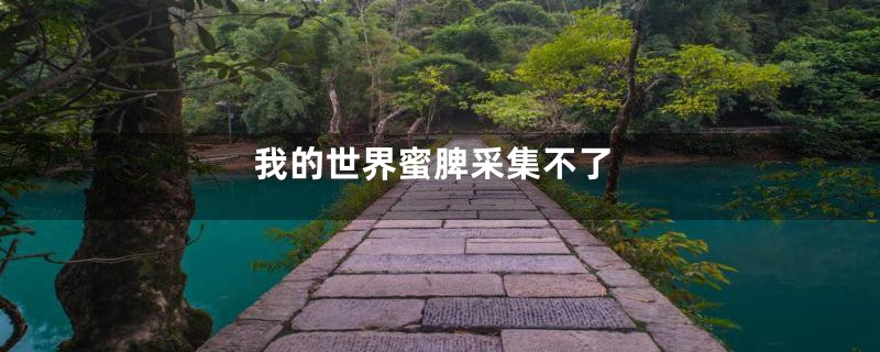 我的世界蜜脾采集不了