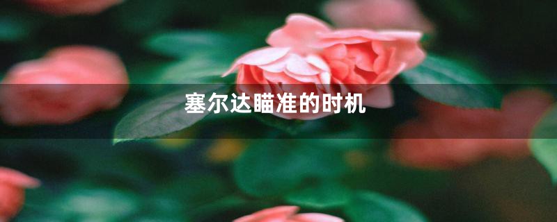 塞尔达瞄准的时机
