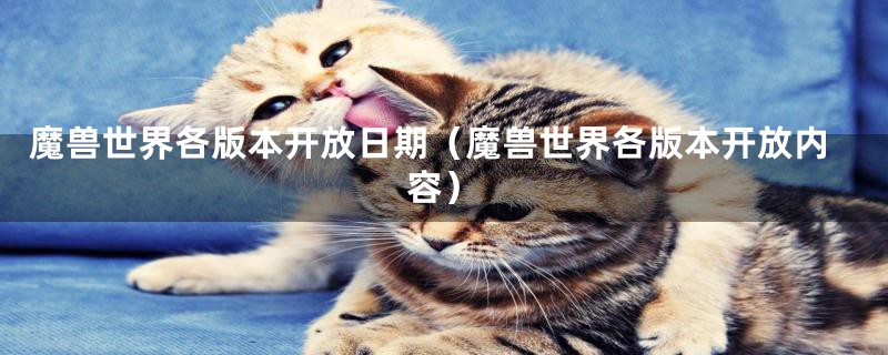 魔兽世界各版本开放日期（魔兽世界各版本开放内容）