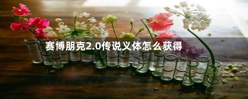 赛博朋克2.0传说义体怎么获得