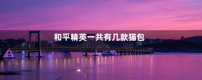 和平精英一共有几款猫包