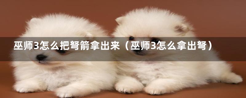 巫师3怎么把弩箭拿出来(巫师3怎么拿出弩)