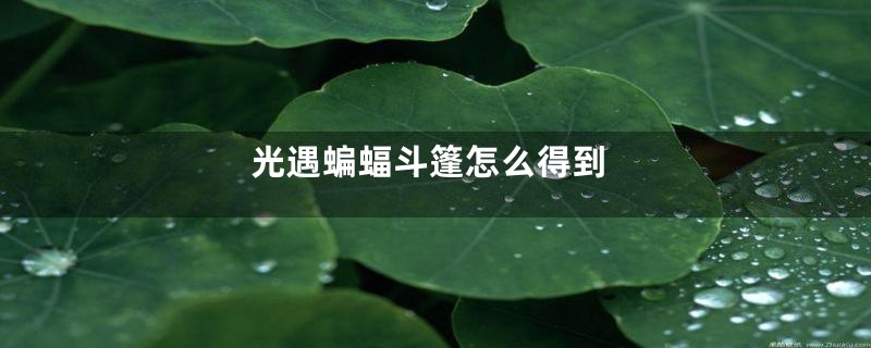 光遇蝙蝠斗篷怎么得到