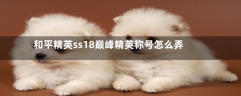 和平精英ss18巅峰精英称号怎么弄