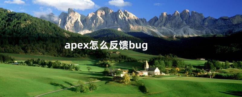 apex怎么反馈bug