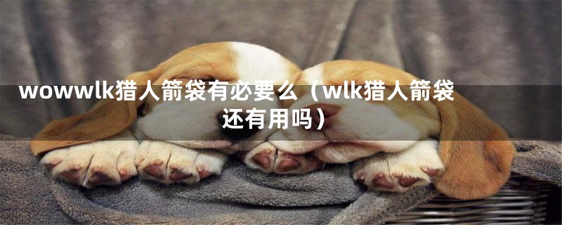 wowwlk猎人箭袋有必要么(wlk猎人箭袋还有用吗)