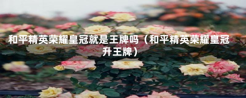 和平精英荣耀皇冠就是王牌吗(和平精英荣耀皇冠升王牌)