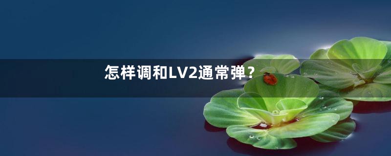 怎样调和LV2通常弹？