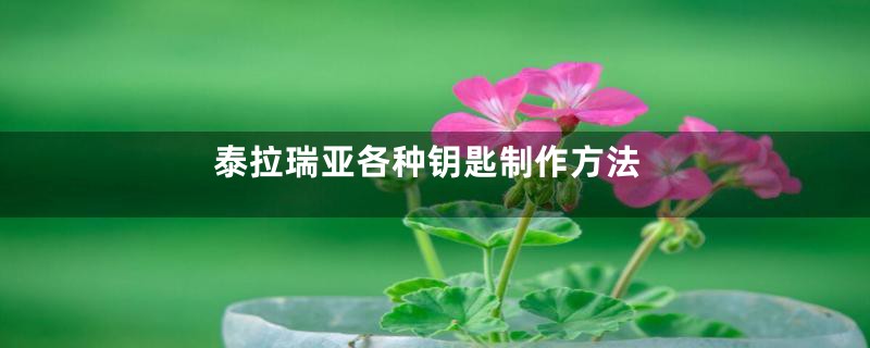 泰拉瑞亚各种钥匙制作方法