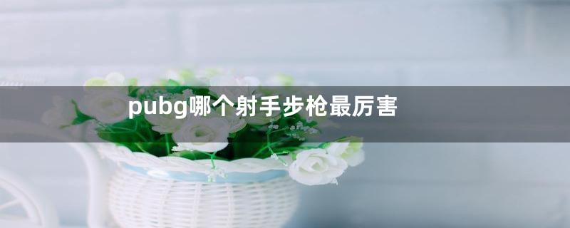 pubg哪个射手步枪最厉害