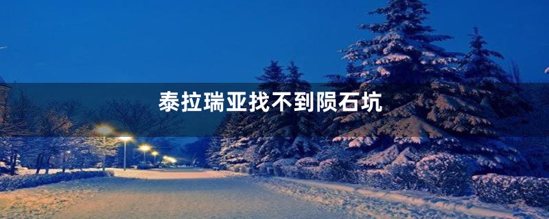 泰拉瑞亚找不到陨石坑