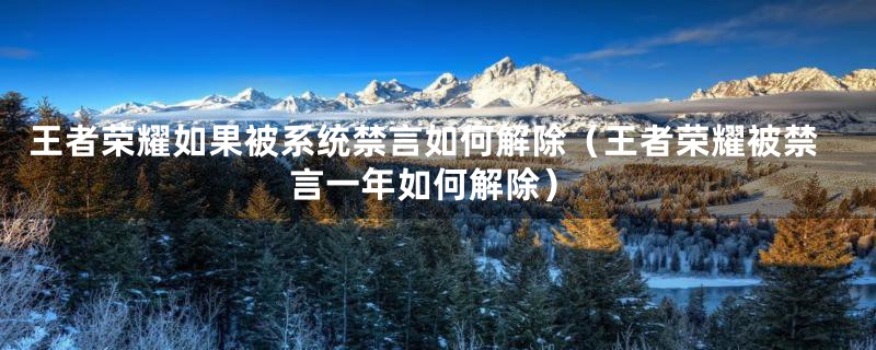 王者荣耀如果被系统禁言如何解除（王者荣耀被禁言一年如何解除）