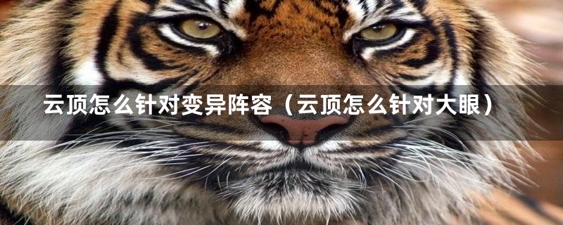 云顶怎么针对变异阵容(云顶怎么针对大眼)