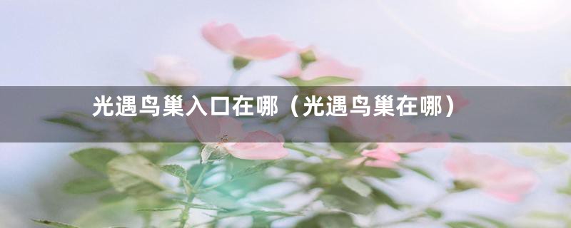 光遇鸟巢入口在哪（光遇鸟巢在哪）
