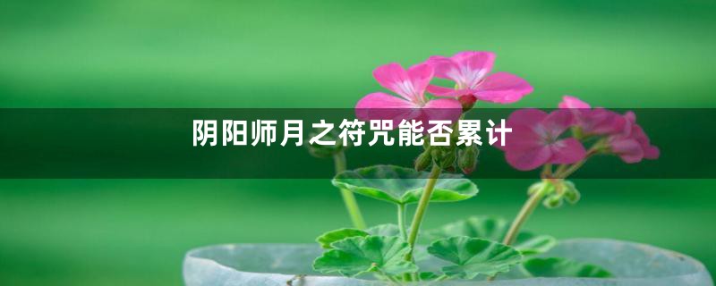 阴阳师月之符咒能否累计
