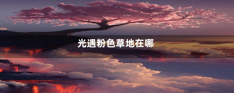 光遇粉色草地在哪